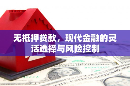 漠河无抵押贷款，现代金融的灵活选择与风险控制