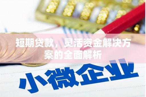 漠河短期贷款，灵活资金解决方案的全面解析