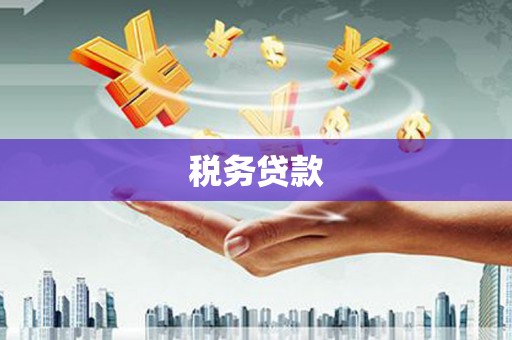 漠河税务贷款