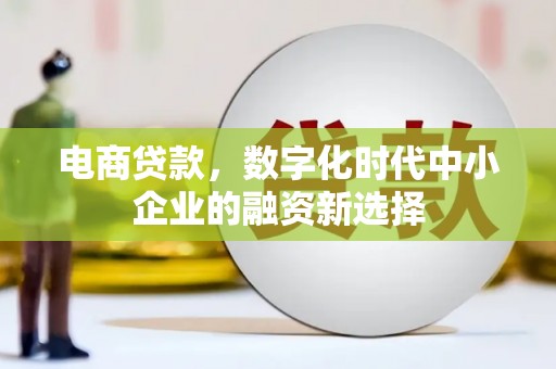 漠河电商贷款，数字化时代中小企业的融资新选择