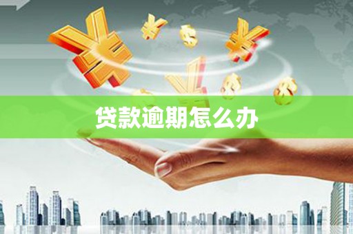 漠河贷款逾期怎么办