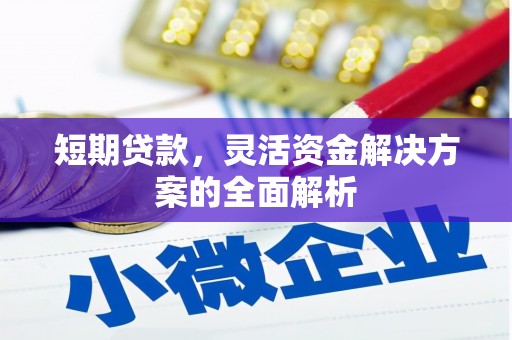 漠河短期贷款，灵活资金解决方案的全面解析
