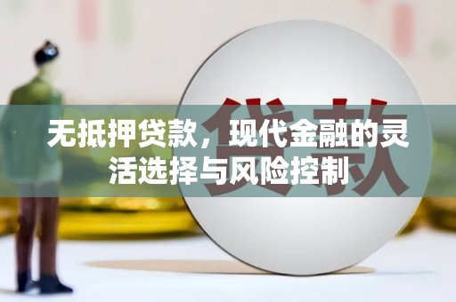 漠河无抵押贷款，现代金融的灵活选择与风险控制