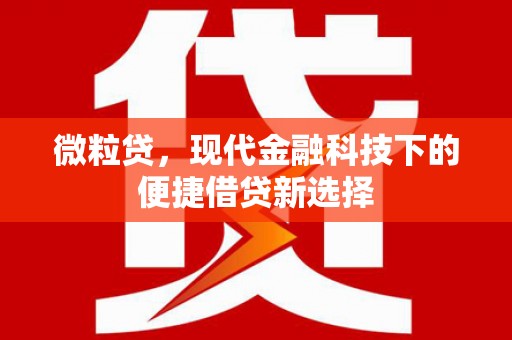 漠河微粒贷，现代金融科技下的便捷借贷新选择