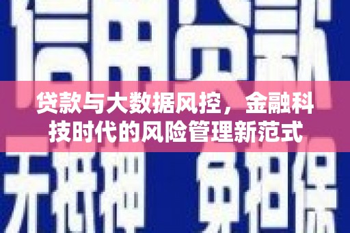漠河贷款与大数据风控，金融科技时代的风险管理新范式