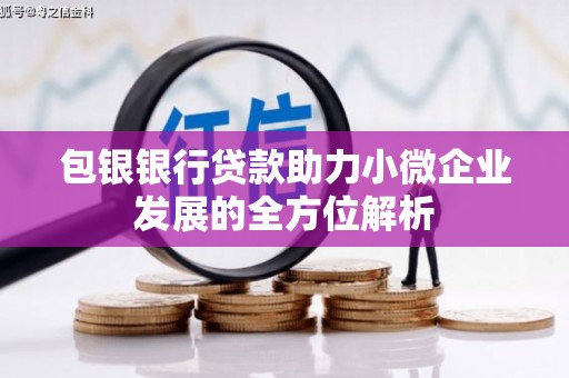 漠河包银银行贷款助力小微企业发展的全方位解析