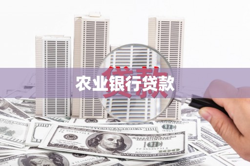 漠河农业银行贷款