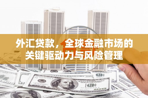 漠河外汇贷款，全球金融市场的关键驱动力与风险管理
