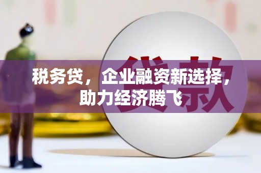 漠河税务贷，企业融资新选择，助力经济腾飞