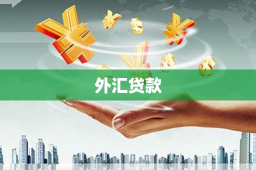 漠河外汇贷款