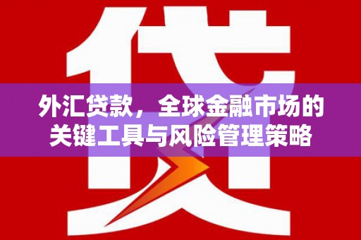 漠河外汇贷款，全球金融市场的关键工具与风险管理策略