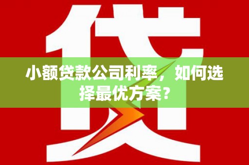 漠河小额贷款公司利率，如何选择最优方案？
