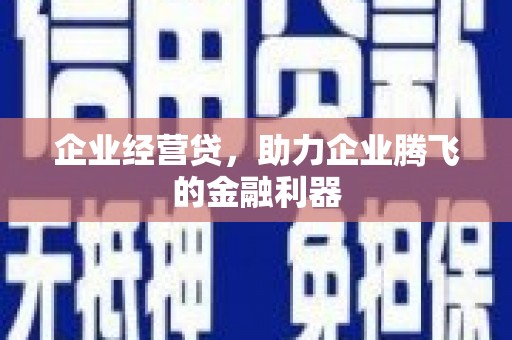漠河企业经营贷，助力企业腾飞的金融利器
