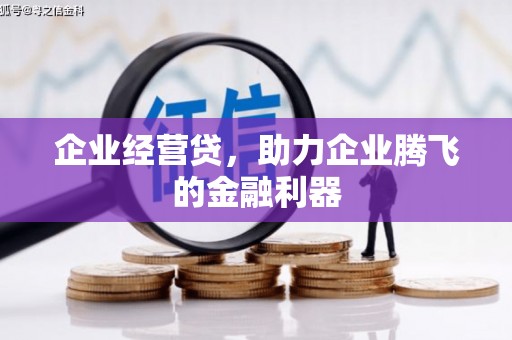漠河企业经营贷，助力企业腾飞的金融利器