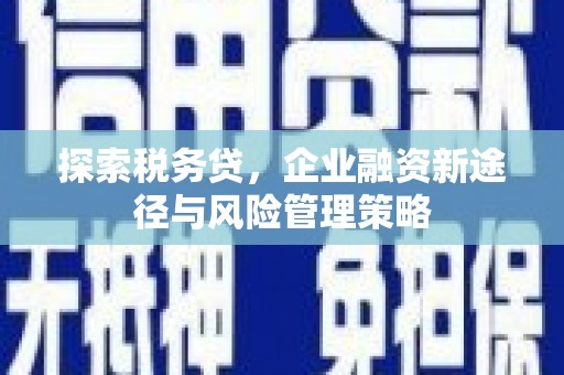 漠河探索税务贷，企业融资新途径与风险管理策略