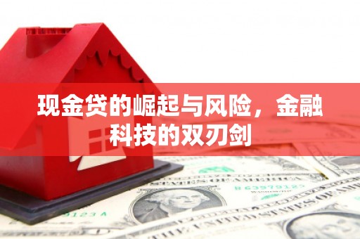 漠河现金贷的崛起与风险，金融科技的双刃剑