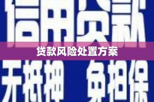 漠河贷款风险处置方案