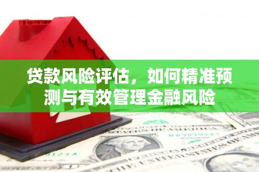 漠河贷款风险评估，如何精准预测与有效管理金融风险