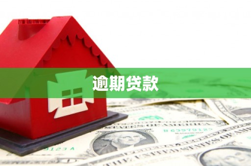 漠河逾期贷款