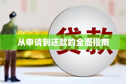 漠河从申请到还款的全面指南