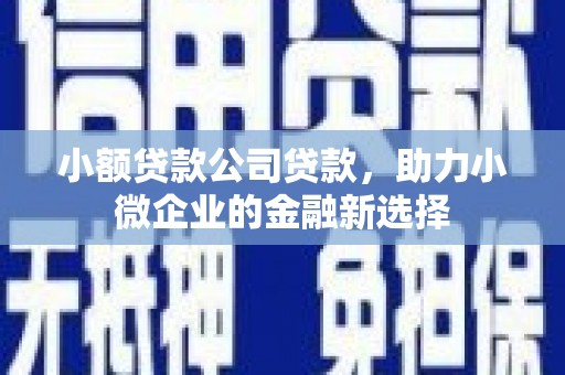 漠河小额贷款公司贷款，助力小微企业的金融新选择