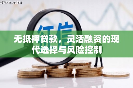 漠河无抵押贷款，灵活融资的现代选择与风险控制