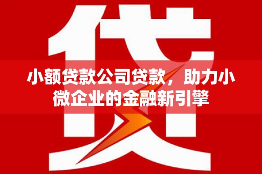漠河小额贷款公司贷款，助力小微企业的金融新引擎