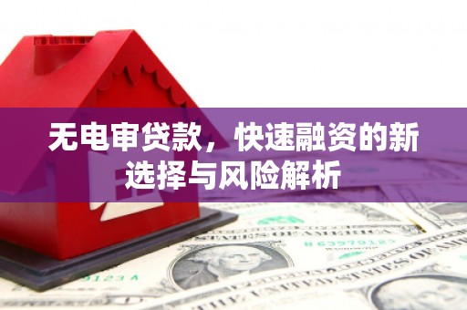漠河无电审贷款，快速融资的新选择与风险解析