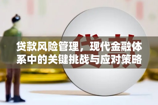 漠河贷款风险管理，现代金融体系中的关键挑战与应对策略