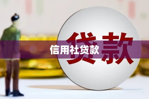 漠河信用社贷款