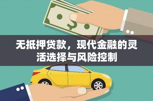 漠河无抵押贷款，现代金融的灵活选择与风险控制