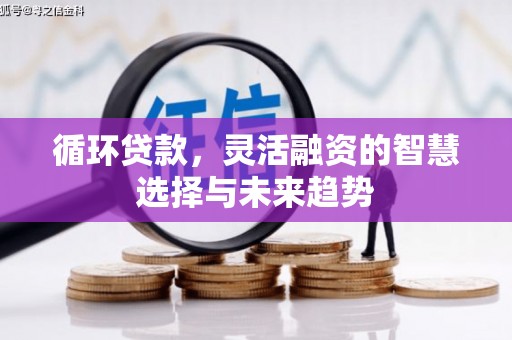 漠河循环贷款，灵活融资的智慧选择与未来趋势