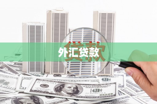 漠河外汇贷款