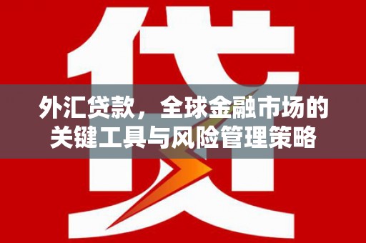 漠河外汇贷款，全球金融市场的关键工具与风险管理策略