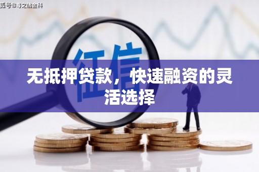 漠河无抵押贷款，快速融资的灵活选择