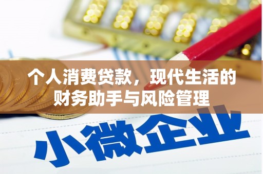 漠河个人消费贷款，现代生活的财务助手与风险管理