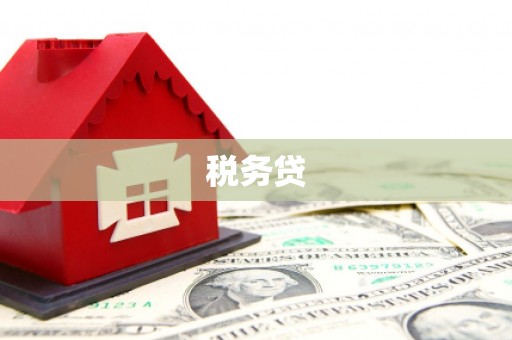 漠河税务贷