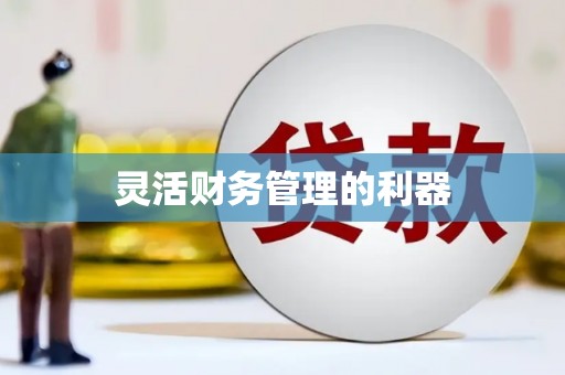 漠河灵活财务管理的利器