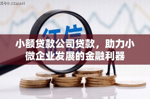 漠河小额贷款公司贷款，助力小微企业发展的金融利器