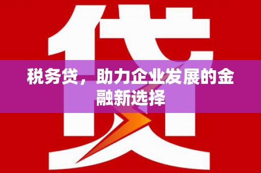漠河税务贷，助力企业发展的金融新选择