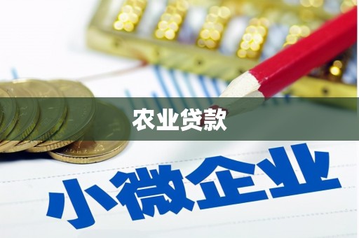 漠河农业贷款