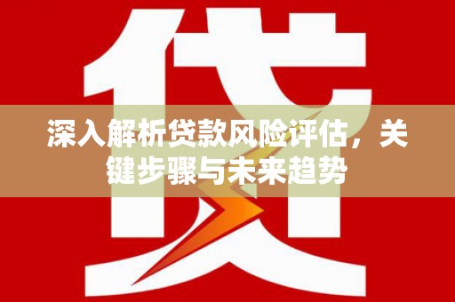 漠河深入解析贷款风险评估，关键步骤与未来趋势