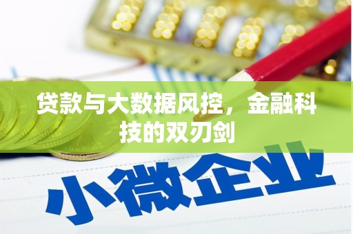 漠河贷款与大数据风控，金融科技的双刃剑