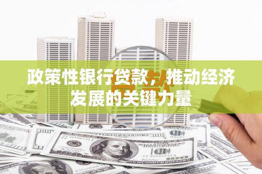 漠河政策性银行贷款，推动经济发展的关键力量