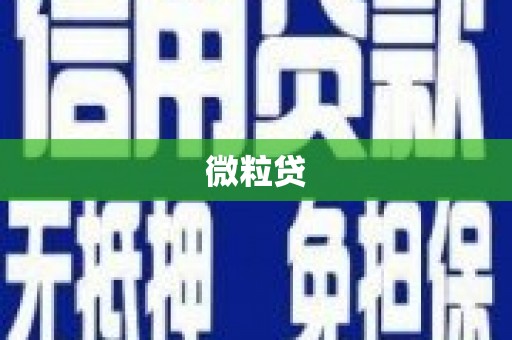 漠河微粒贷