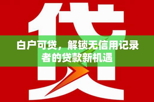 漠河白户可贷，解锁无信用记录者的贷款新机遇