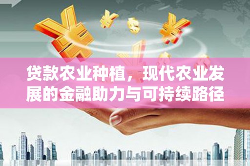 漠河贷款农业种植，现代农业发展的金融助力与可持续路径