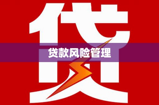 漠河贷款风险管理