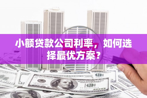 漠河小额贷款公司利率，如何选择最优方案？