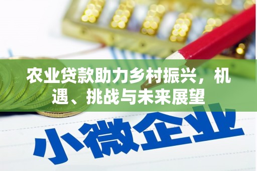漠河农业贷款助力乡村振兴，机遇、挑战与未来展望